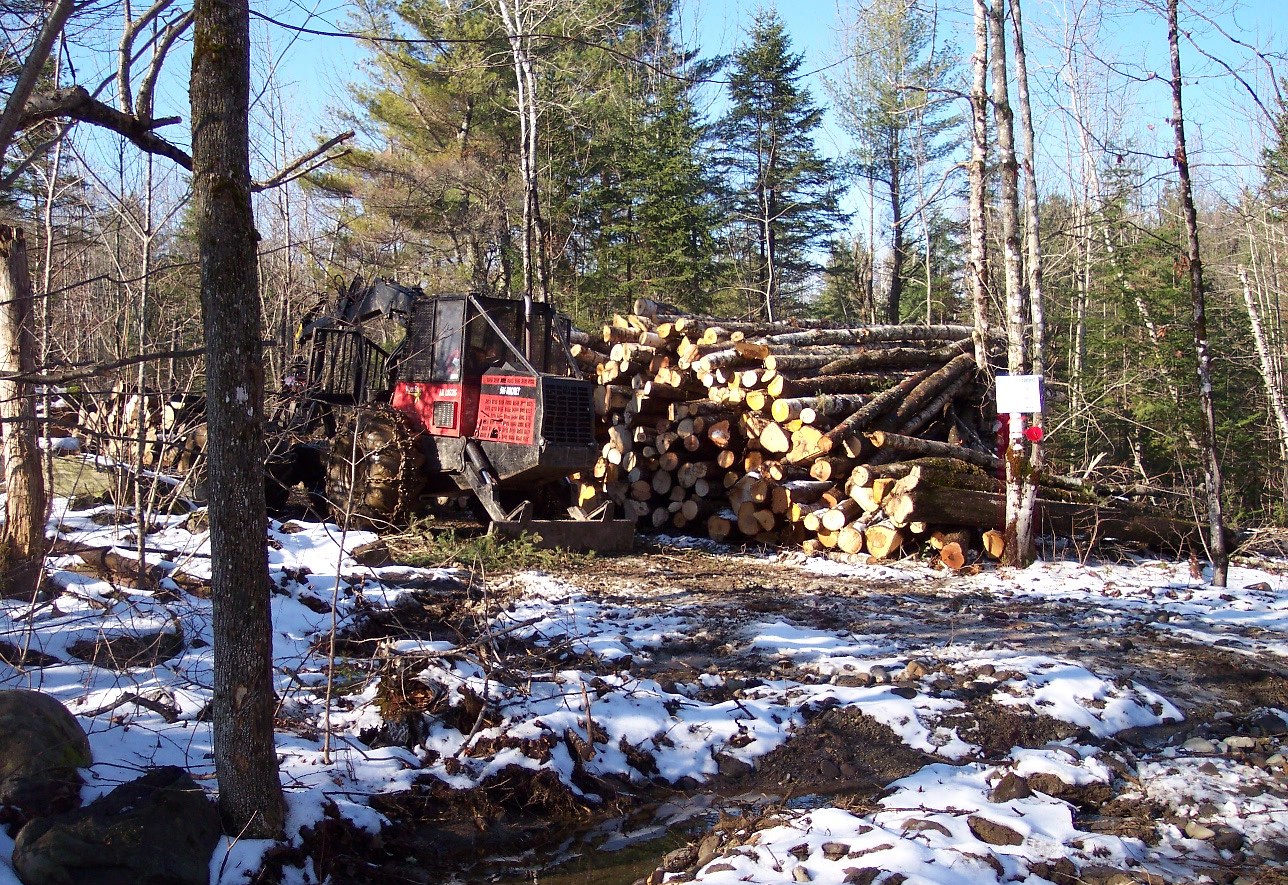 A forestry skidder working a Maine woodlot in winter